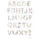 Mushie Poster Medium Alphabet International 29.7 x 42 cm σε ξύλινη κορνίζα χρώμα φυσικό